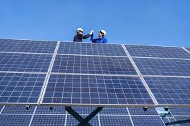 Cedkam Agro Products Ltd category gallery