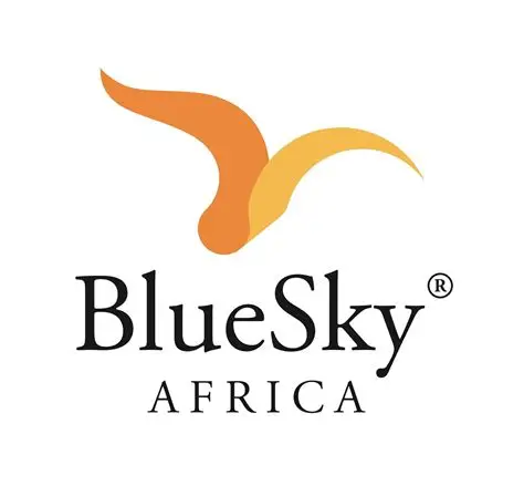 BLUE SKY FILMS