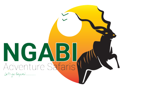 Ngabi Adventure Safaris