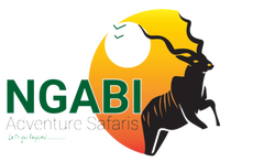Ngabi Adventure Safaris