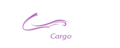 FASTGATE CARGO SERVICES