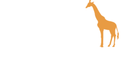 Professional Safari Africa