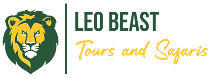 Leobeast Tours and Safaris