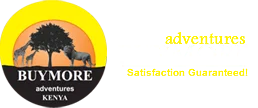 BuyMore Adventures