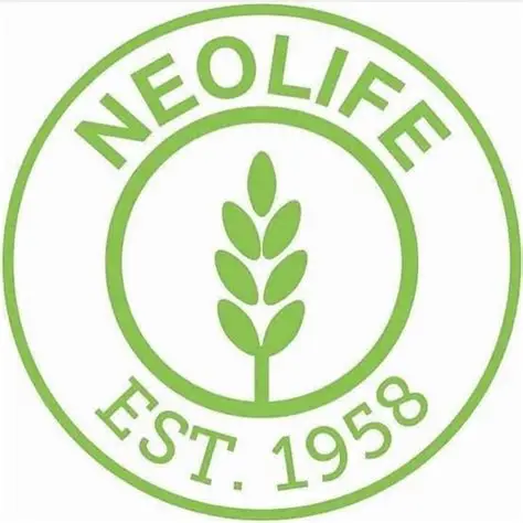 Den Of Value Global Solutions