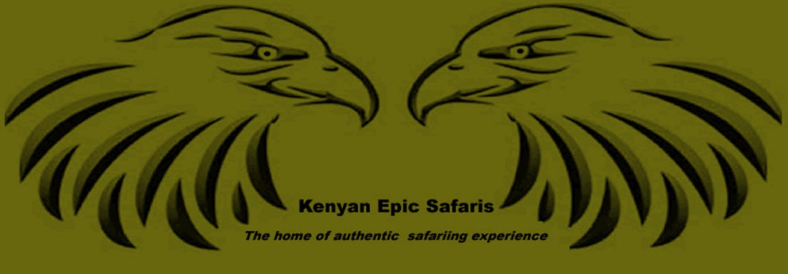 Kenyan Epic Safaris