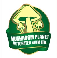 mushroom planet integrated farm limited
