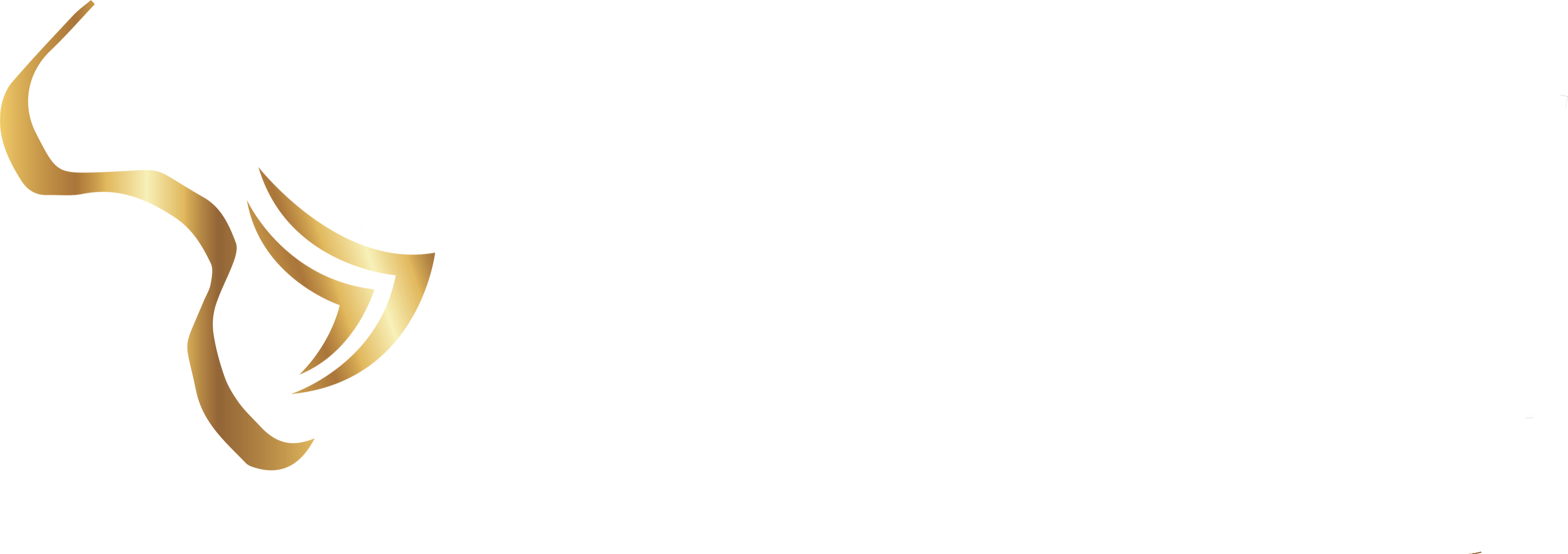 AFRICA  AIRLIFT INITIATIVE