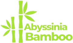 Abyssinia Bamboo