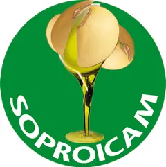 SOPROICAM