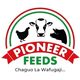 Pioneer Feeds Ltd