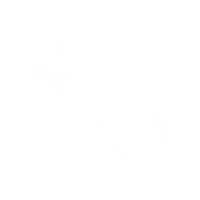 Global Software Services