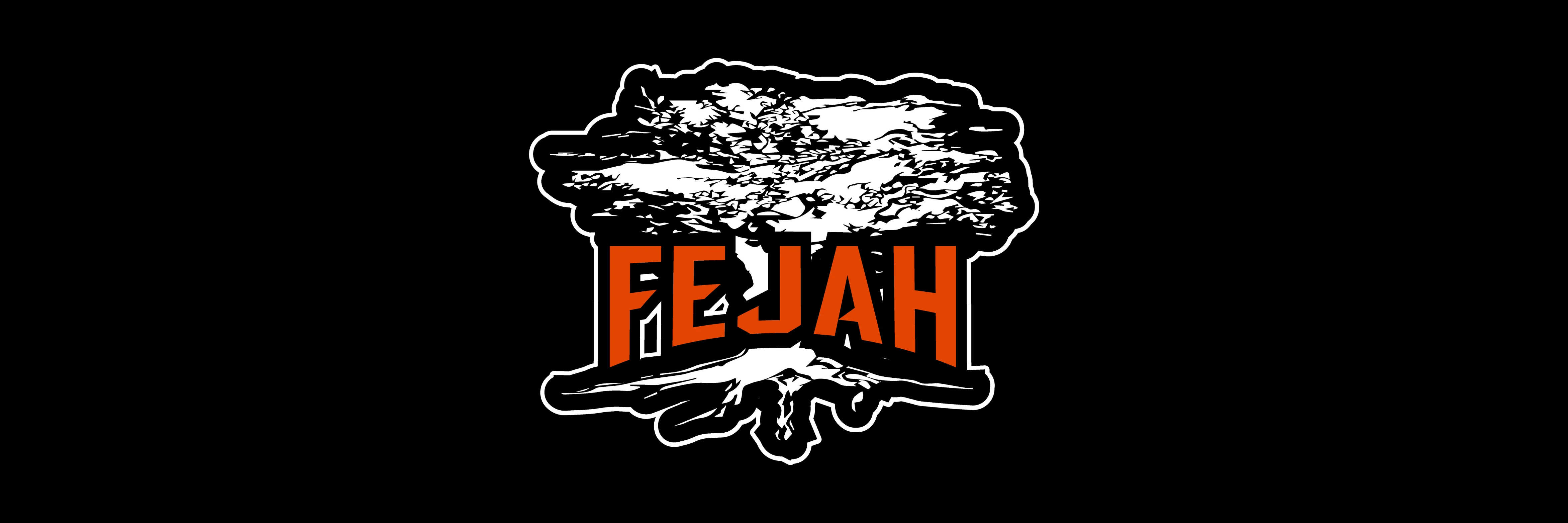 FEJOHA INTERNATIONAL LIMITED
