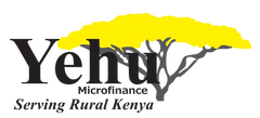 Yehu Microfinance Services Limited