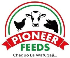 Pioneer Feeds Ltd